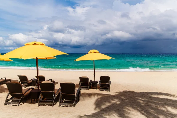 Parasol i leżaki na plaży pod palmami na tropikalnej BEA — Zdjęcie stockowe