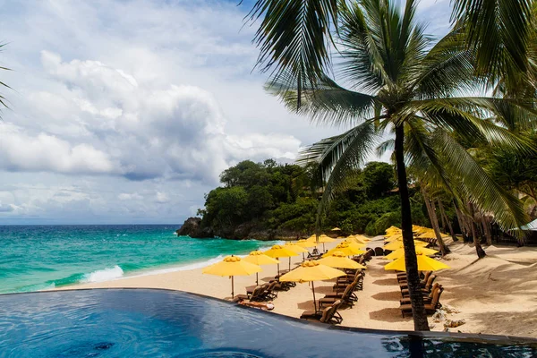 Sombrilla del sol, camas de playa, piscina infinita, bajo la palma tre — Foto de Stock