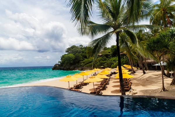 Sombrilla del sol, camas de playa, piscina infinita, bajo la palma tre —  Fotos de Stock