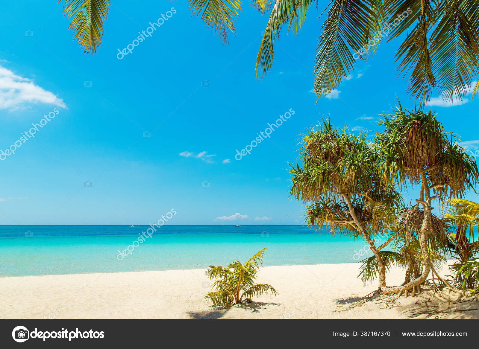 Pemandangan Indah Pantai Tropis Pulau Boracay Filipina Pohon Kelapa Laut Stok Foto C Frolovaelena 387167370