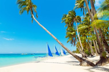 Boracay Adası, Filipinler 'deki güzel tropik plaj manzarası. Hindistan cevizi palmiyeleri, deniz, yelkenli ve beyaz kum. Doğa manzarası. Yaz tatili kavramı.