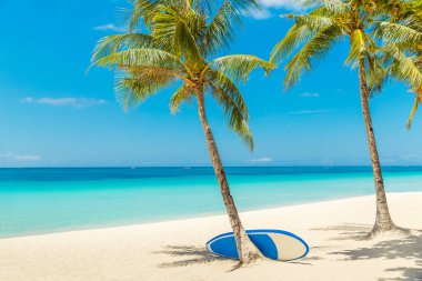 Boracay Adası, Filipinler 'deki güzel tropik plaj manzarası. Hindistan cevizi palmiyeleri, deniz, raket ve beyaz kum. Doğa manzarası. Yaz tatili kavramı.