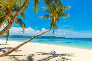 Boracay Adası, Filipinler 'deki güzel tropik plaj manzarası. Hindistan cevizi palmiyeleri, deniz, yelkenli ve beyaz kum. Doğa manzarası. Yaz tatili kavramı.