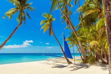Boracay Adası, Filipinler 'deki güzel tropik plaj manzarası. Hindistan cevizi palmiyeleri, deniz, yelkenli ve beyaz kum. Doğa manzarası. Yaz tatili kavramı.
