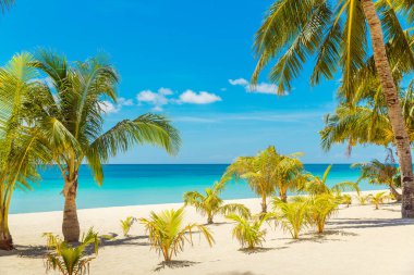 Boracay Adası, Filipinler 'deki güzel tropik plaj manzarası. Hindistan cevizi palmiyeleri, deniz, yelkenli ve beyaz kum. Doğa manzarası. Yaz tatili kavramı.