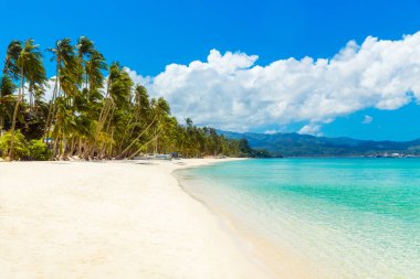 Boracay Adası, Filipinler 'deki güzel tropik plaj manzarası. Hindistan cevizi palmiyeleri, deniz, yelkenli ve beyaz kum. Doğa manzarası. Yaz tatili kavramı.