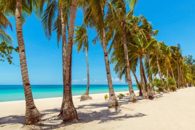 Boracay Adası, Filipinler 'deki tropikal plajın güzel manzarası kilit altında. Hindistan cevizi palmiyeleri, deniz, yelkenli ve beyaz kum. Doğa manzarası. Yaz tatili kavramı.
