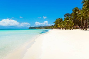 Boracay Adası, Filipinler 'deki tropikal plajın güzel manzarası kilit altında. Hindistan cevizi palmiyeleri, deniz, yelkenli ve beyaz kum. Doğa manzarası. Yaz tatili kavramı.