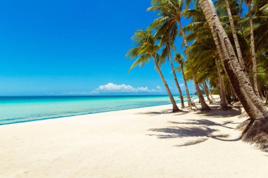 Boracay Adası, Filipinler 'deki güzel tropik plaj manzarası. Hindistan cevizi palmiyeleri, deniz, yelkenli ve beyaz kum. Doğa manzarası. Yaz tatili kavramı.