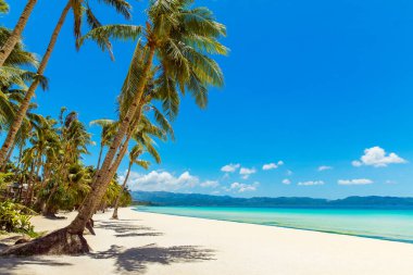 Boracay Adası, Filipinler 'deki güzel tropik plaj manzarası. Hindistan cevizi palmiyeleri, deniz, yelkenli ve beyaz kum. Doğa manzarası. Yaz tatili kavramı.