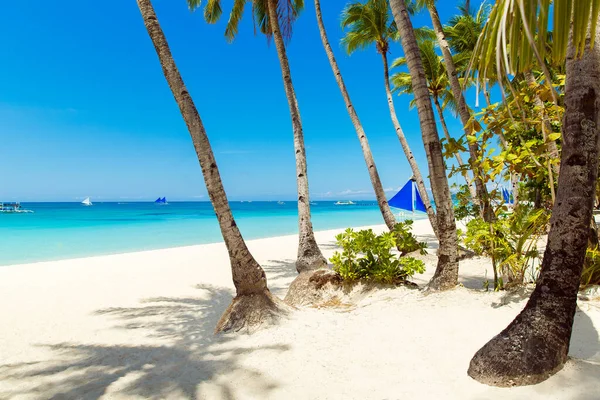 菲律宾博拉凯岛上美丽的热带海滩景观 椰子树 帆船和白沙 自然景观 暑假的概念 — 图库照片