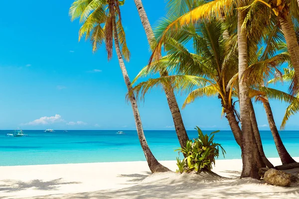 Vackert Landskap Med Tropisk Strand Boracay Filippinerna Kokospalmer Hav Segelbåt — Stockfoto