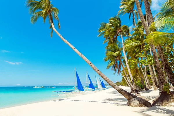 Boracay Adası, Filipinler 'deki güzel tropik plaj manzarası. Hindistan cevizi palmiyeleri, deniz, yelkenli ve beyaz kum. Doğa manzarası. Yaz tatili kavramı.