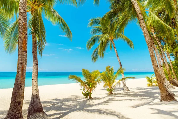 Schöne Landschaft Mit Tropischem Strand Auf Der Insel Boracay Philippinen — Stockfoto