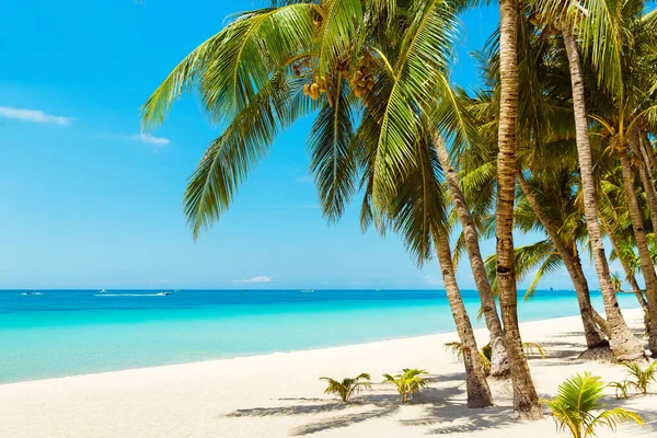 Vackert Landskap Med Tropisk Strand Boracay Filippinerna Kokospalmer Hav Segelbåt — Stockfoto