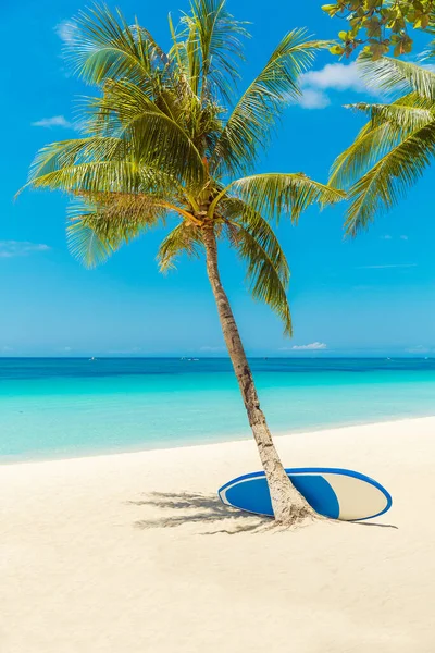 Boracay Adası, Filipinler 'deki güzel tropik plaj manzarası. Hindistan cevizi palmiyeleri, deniz, raket ve beyaz kum. Doğa manzarası. Yaz tatili kavramı.