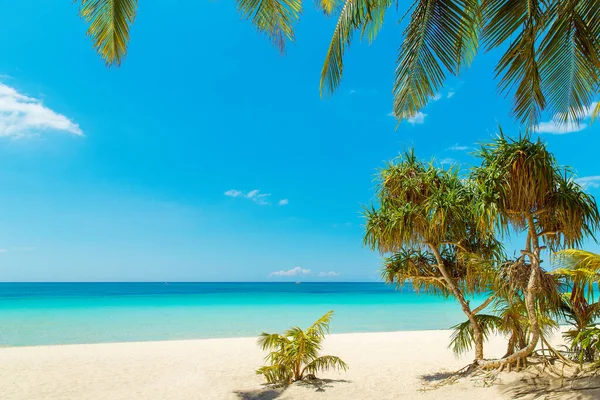 Gyönyörű Táj Trópusi Strand Boracay Sziget Fülöp Szigetek Kókuszpálmafák Tenger — Stock Fotó