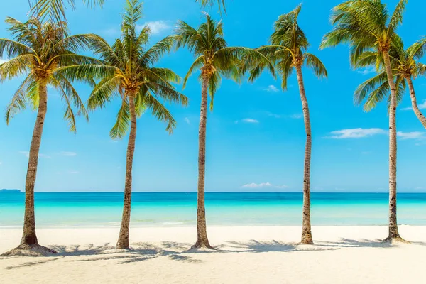 Kaunis Maisema Trooppinen Ranta Boracay Saarella Filippiineillä Kookospalmuja Merta Purjeveneitä — kuvapankkivalokuva