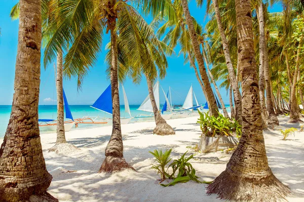Hermoso Paisaje Playa Tropical Isla Boracay Filipinas Palmeras Coco Mar —  Fotos de Stock