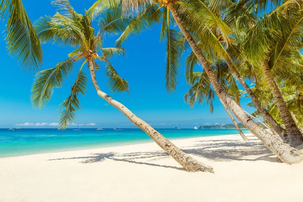 Чудовий Пейзаж Тропічного Пляжу Острові Боракай Філіппіни Кокосові Пальми Море — стокове фото