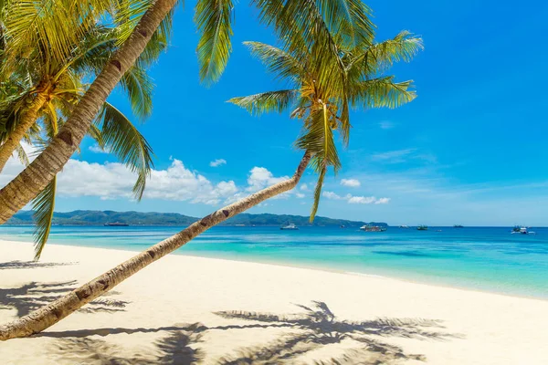 Hermoso Paisaje Playa Tropical Isla Boracay Filipinas Palmeras Coco Mar — Foto de Stock