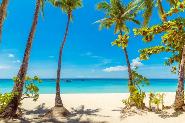 Vackert Landskap Med Tropisk Strand Boracay Filippinerna Kokospalmer Hav Segelbåt — Stockfoto