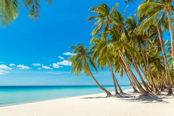 Boracay Adası, Filipinler 'deki güzel tropik plaj manzarası. Hindistan cevizi palmiyeleri, deniz, yelkenli ve beyaz kum. Doğa manzarası. Yaz tatili kavramı.
