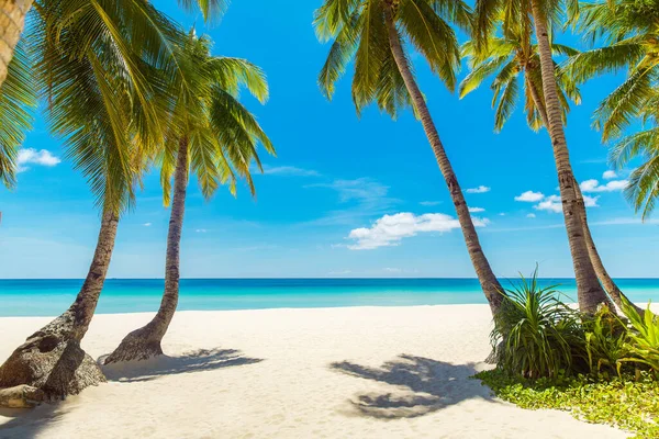 Vackert Landskap Med Tropisk Strand Boracay Filippinerna Kokospalmer Hav Segelbåt — Stockfoto