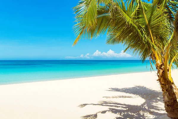 Piękny Krajobraz Tropikalnej Plaży Wyspie Boracay Filipiny Palmy Kokosowe Morze — Zdjęcie stockowe