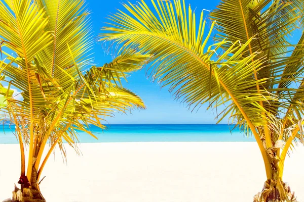 Bellissimo Paesaggio Spiaggia Tropicale Sull Isola Boracay Filippine Palme Cocco — Foto Stock
