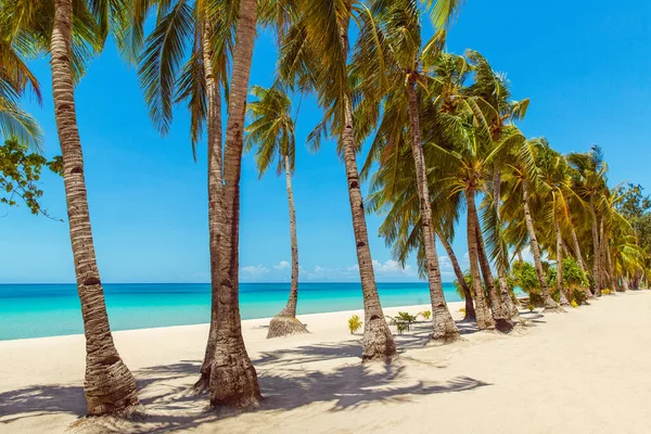 Boracay Adası, Filipinler 'deki tropikal plajın güzel manzarası kilit altında. Hindistan cevizi palmiyeleri, deniz, yelkenli ve beyaz kum. Doğa manzarası. Yaz tatili kavramı.