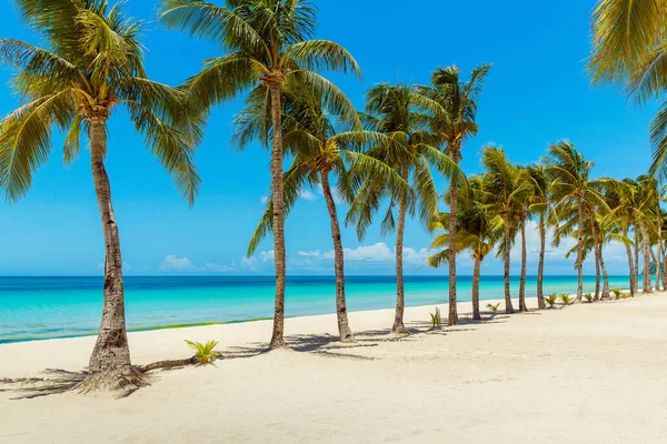 菲律宾博拉凯岛热带海滩的美丽风景被封锁了 椰子树 帆船和白沙 自然景观 暑假的概念 — 图库照片