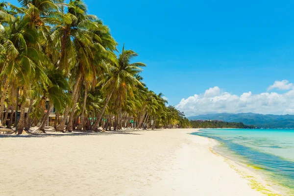 Bela Paisagem Praia Tropical Ilha Boracay Filipinas Sob Lockdoun Palmeiras — Fotografia de Stock