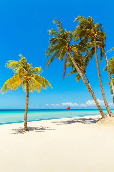 Beau Paysage Plage Tropicale Sur Île Boracay Philippines Cocotiers Mer — Photo