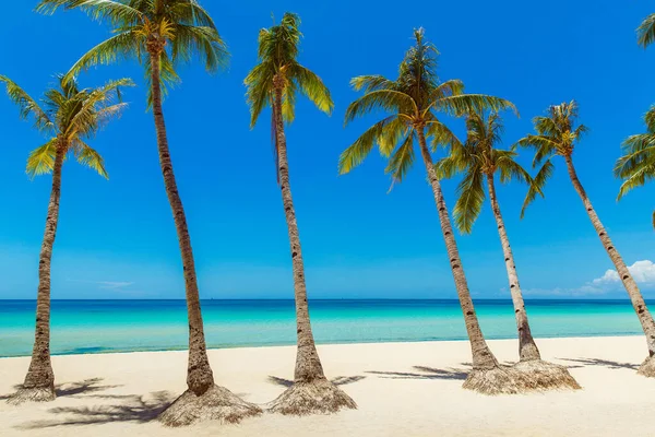 Vackert Landskap Med Tropisk Strand Boracay Filippinerna Kokospalmer Hav Segelbåt — Stockfoto