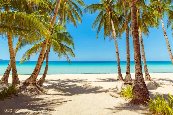 Gyönyörű Táj Trópusi Strand Boracay Sziget Fülöp Szigetek Kókuszpálmafák Tenger — Stock Fotó