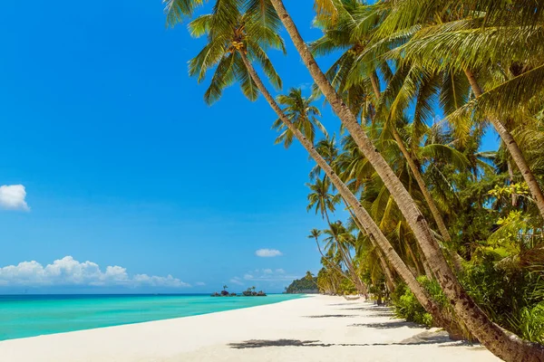 Vackert Landskap Med Tropisk Strand Boracay Filippinerna Kokospalmer Hav Segelbåt — Stockfoto