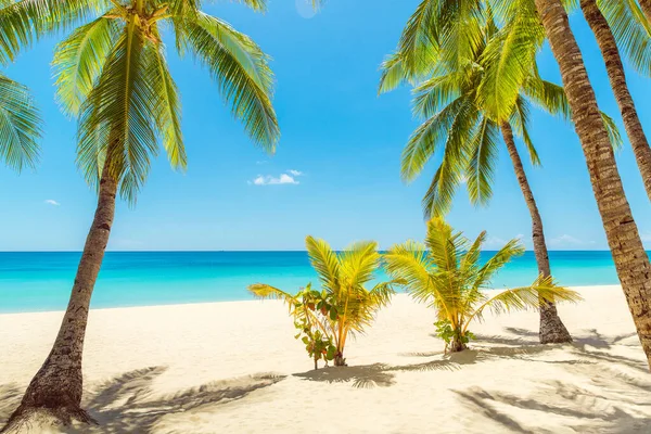 Hermoso Paisaje Playa Tropical Isla Boracay Filipinas Palmeras Coco Mar — Foto de Stock