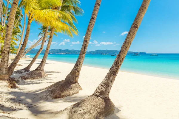 Όμορφο Τοπίο Της Τροπικής Παραλίας Στο Νησί Boracay Φιλιππίνες Καρύδα — Φωτογραφία Αρχείου