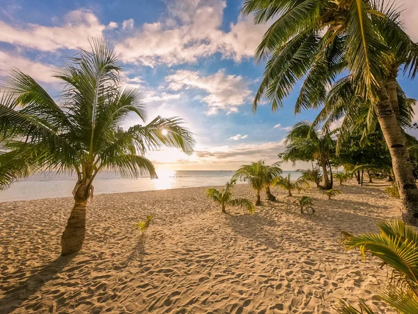 フィリピンのボラカイ島の熱帯ビーチで美しい夕日 ココナッツヤシの木 白い砂 自然景観 夏休みのコンセプト — ストック写真