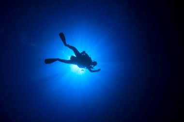 Dalgıç temiz deniz suyunda yüzüyor