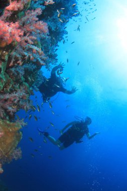 Dalgıçlar temiz deniz suyunda yüzüyor
