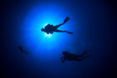 Dalgıçlar temiz deniz suyunda yüzüyor