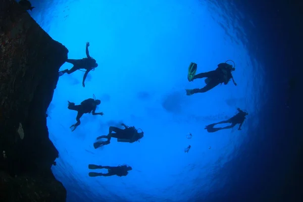 Plongeurs Nageant Dans Eau Mer Propre — Photo