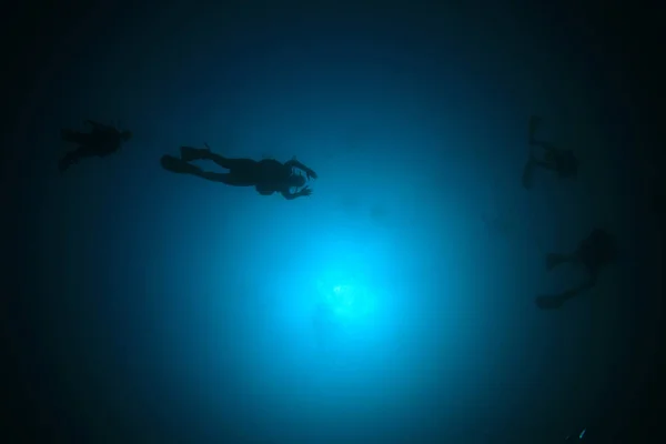 Plongeurs Nageant Dans Eau Mer Propre — Photo