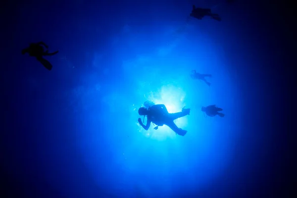 Mergulhadores Nadando Água Mar Limpa — Fotografia de Stock
