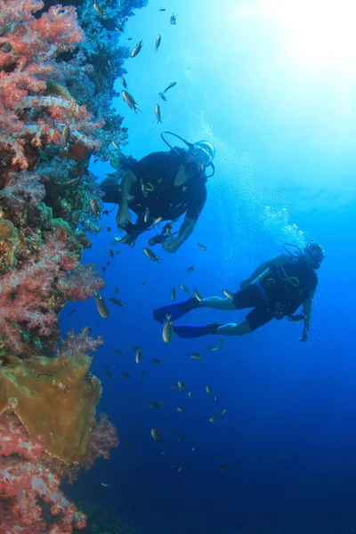 きれいな海の水で泳ぐダイバー — ストック写真