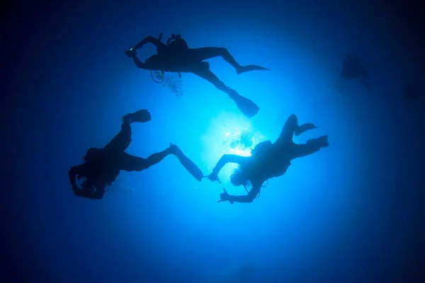 Buceadores Nadando Agua Mar Limpia —  Fotos de Stock