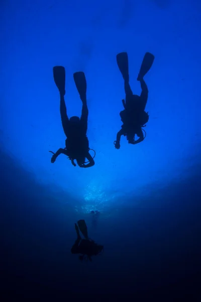 Plongeurs Nageant Dans Eau Mer Propre — Photo