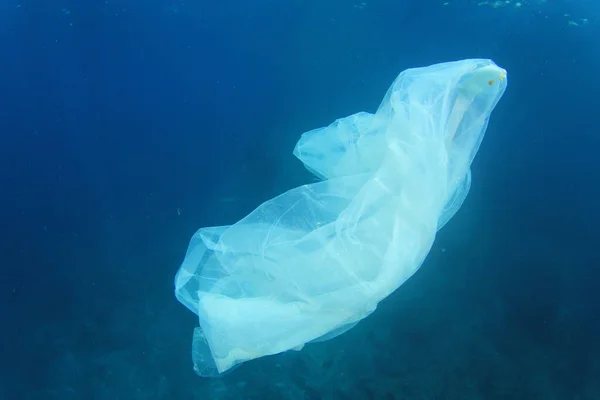 Медузы Чистой Морской Воде — стоковое фото